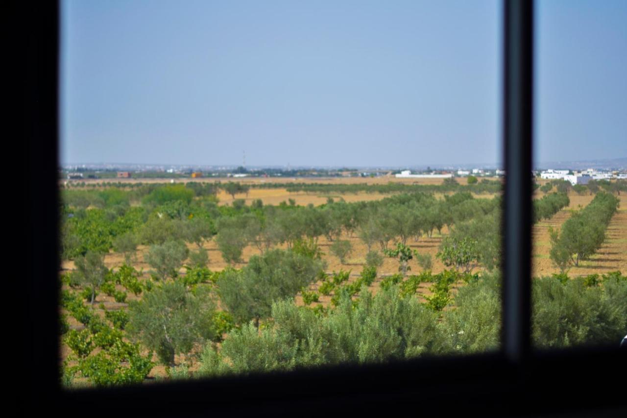 Résidence des Oliviers Yasmine Hammamet Esterno foto