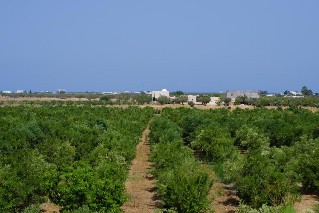 Résidence des Oliviers Yasmine Hammamet Esterno foto