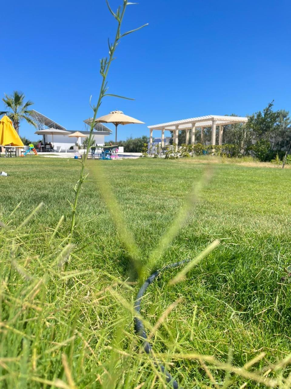 Résidence des Oliviers Yasmine Hammamet Esterno foto