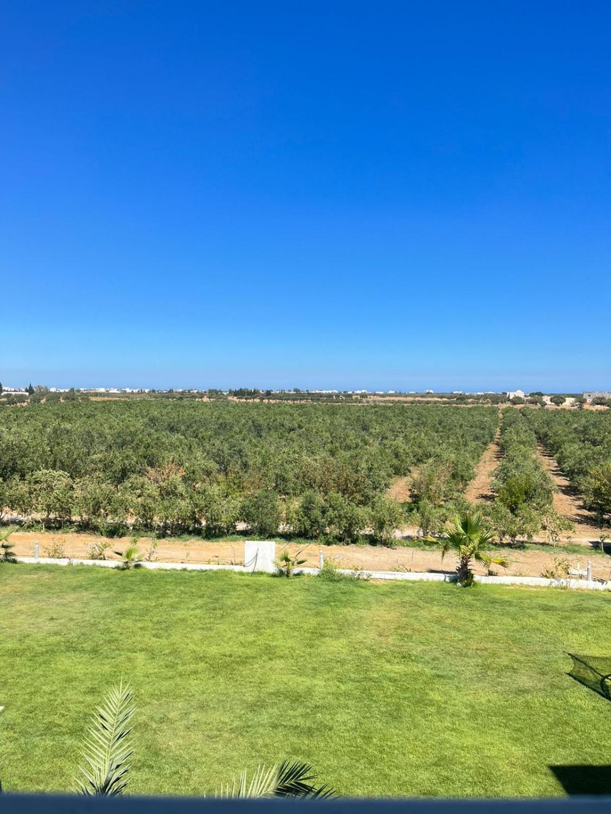 Résidence des Oliviers Yasmine Hammamet Esterno foto